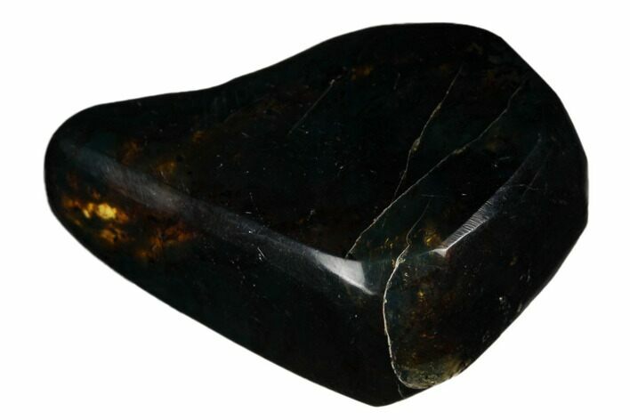 Polished Chiapas Amber ( g) - Mexico #180492